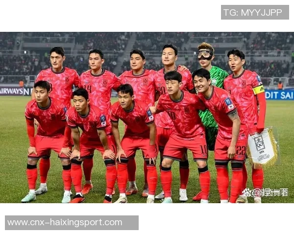 2018世界杯足球赛精彩回顾与历史意义分析