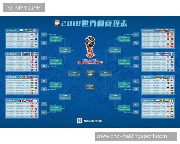 2018世界杯足球赛精彩回顾与历史意义分析