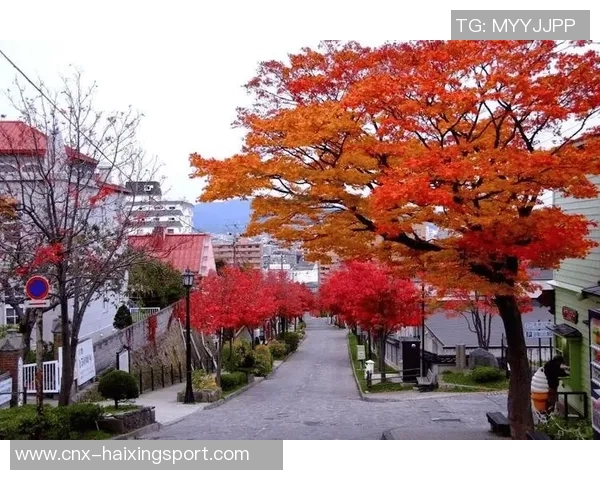 樱花盛开时节大阪的魅力与风情交相辉映的浪漫之旅